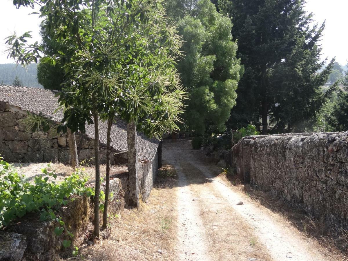 Museu Casa Aleixo Guest House Sernancelhe Luaran gambar